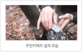 야생동물 첨단 연구사업 관련 이미지입니다. / 무인카메라 설치 모습