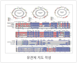 자생 생물자원의 유전자 다양성 연구 관련 이미지입니다. / 유전체 지도 작성