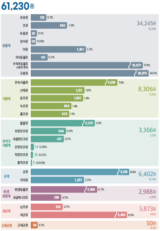 세부분류균별 종 현황