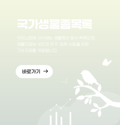 국가생물종목록  화이트