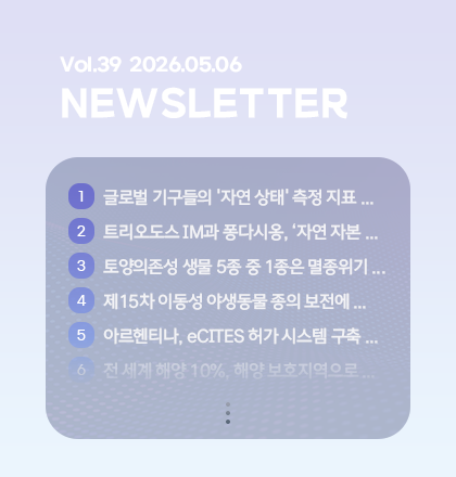 팝업존 뉴스레터