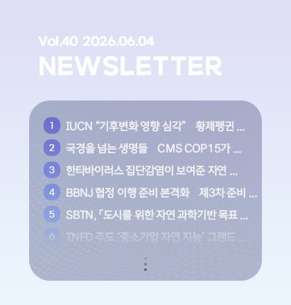 팝업존 뉴스레터