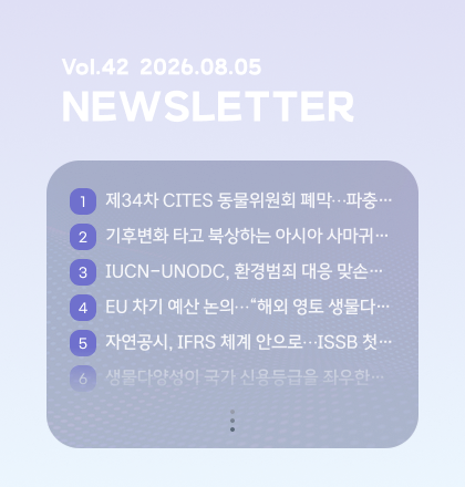 팝업존 뉴스레터